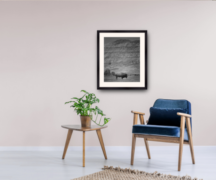 example of a 20x24 frame with 16x20 image