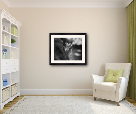 example of a 20x24 frame with 16x20 image