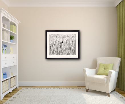 example of a 20x24 frame with 16x20 image
