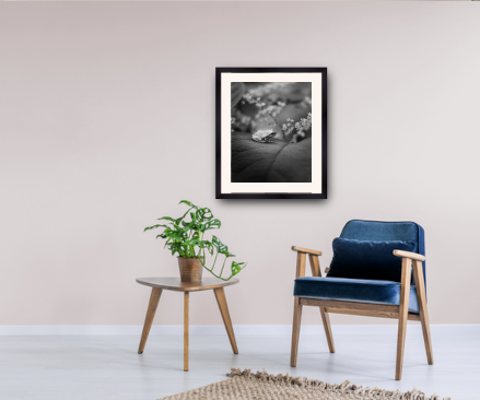 example of a 20x24 frame with 16x20 image